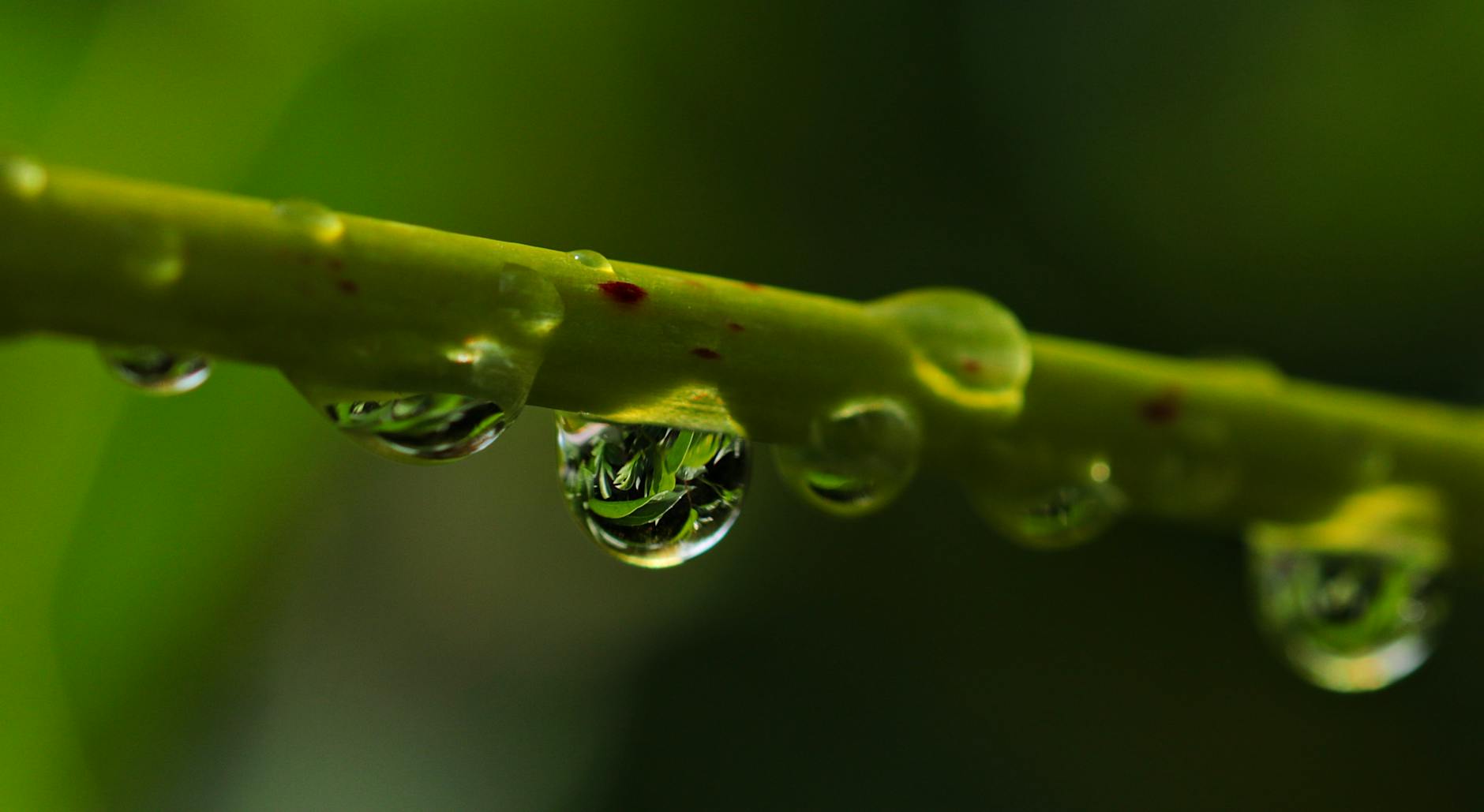 Lire la suite à propos de l’article Où acheter du CBD en Guadeloupe : guide pratique