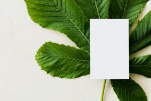 Lire la suite à propos de l’article Où acheter du thé CBD : guide pratique et conseils santé
